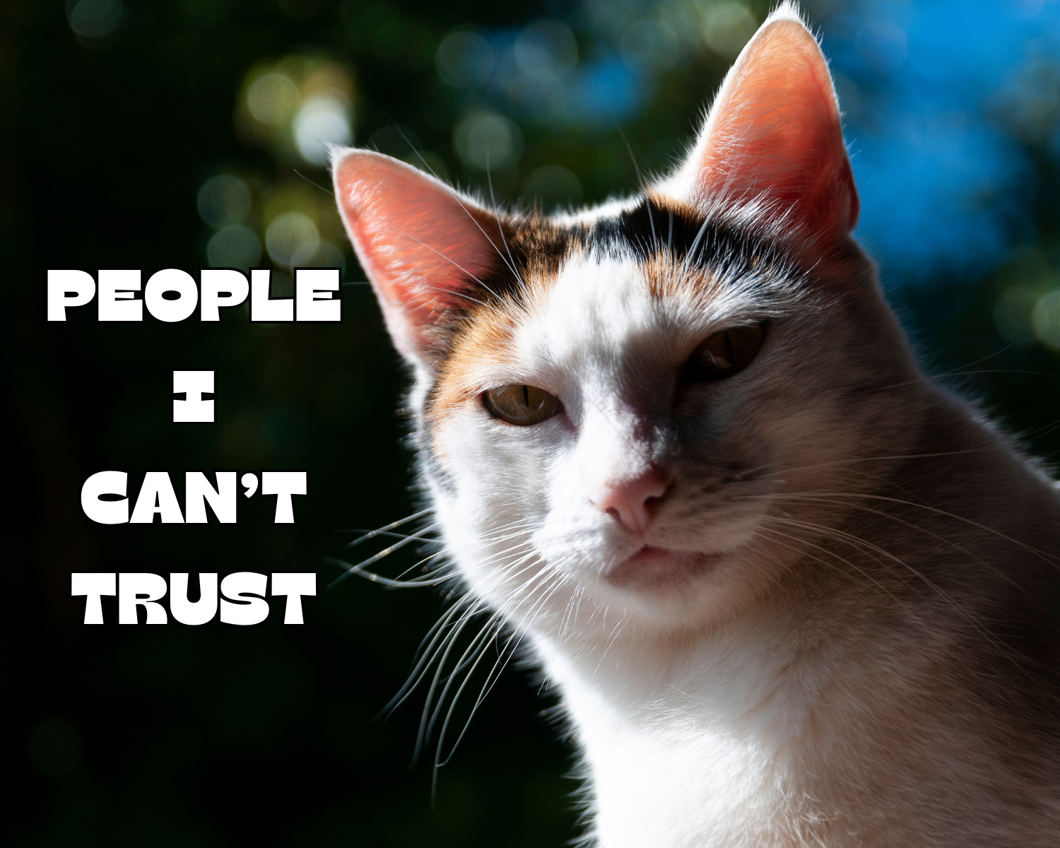 People I Can’t Trust