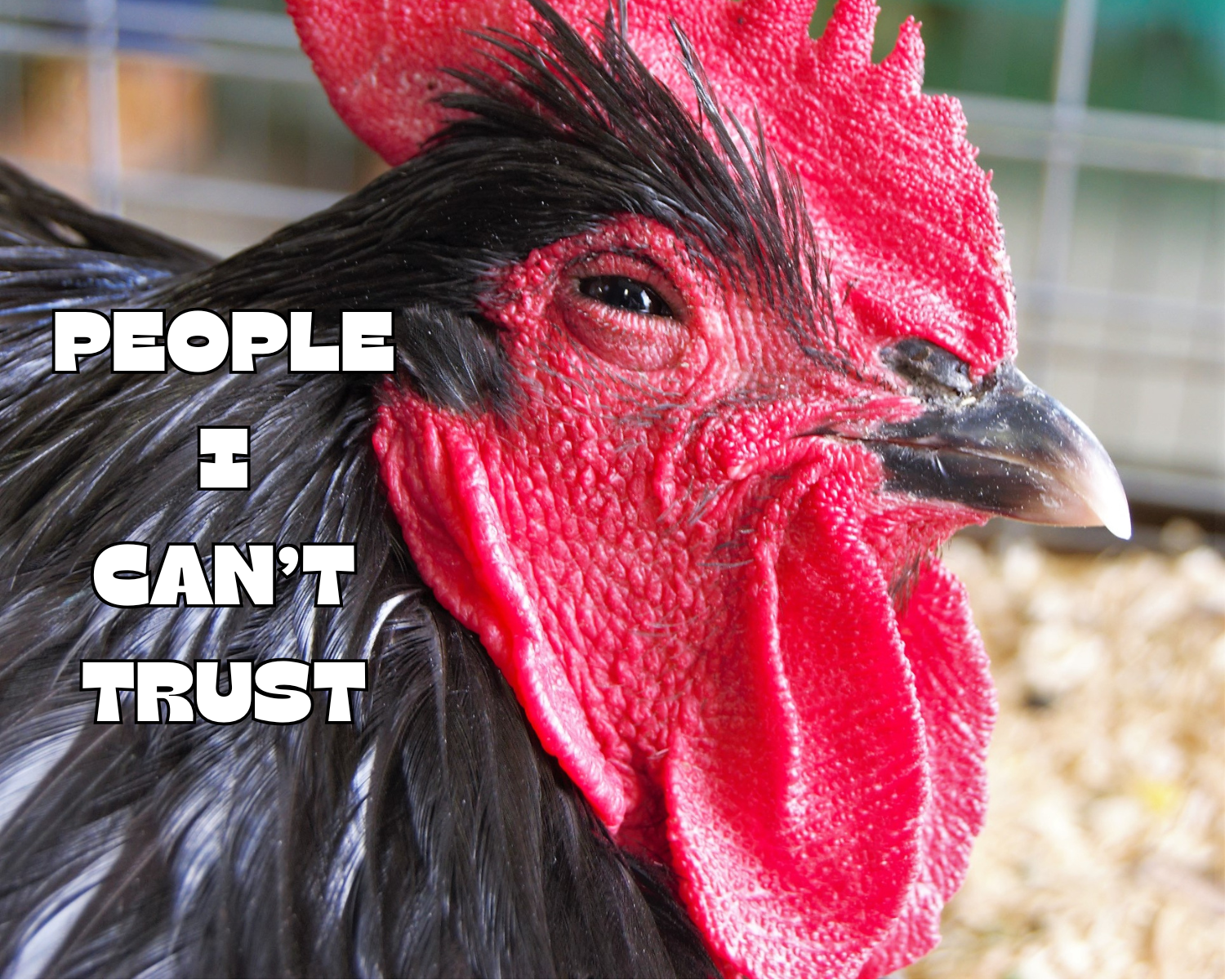 People I Can’t Trust