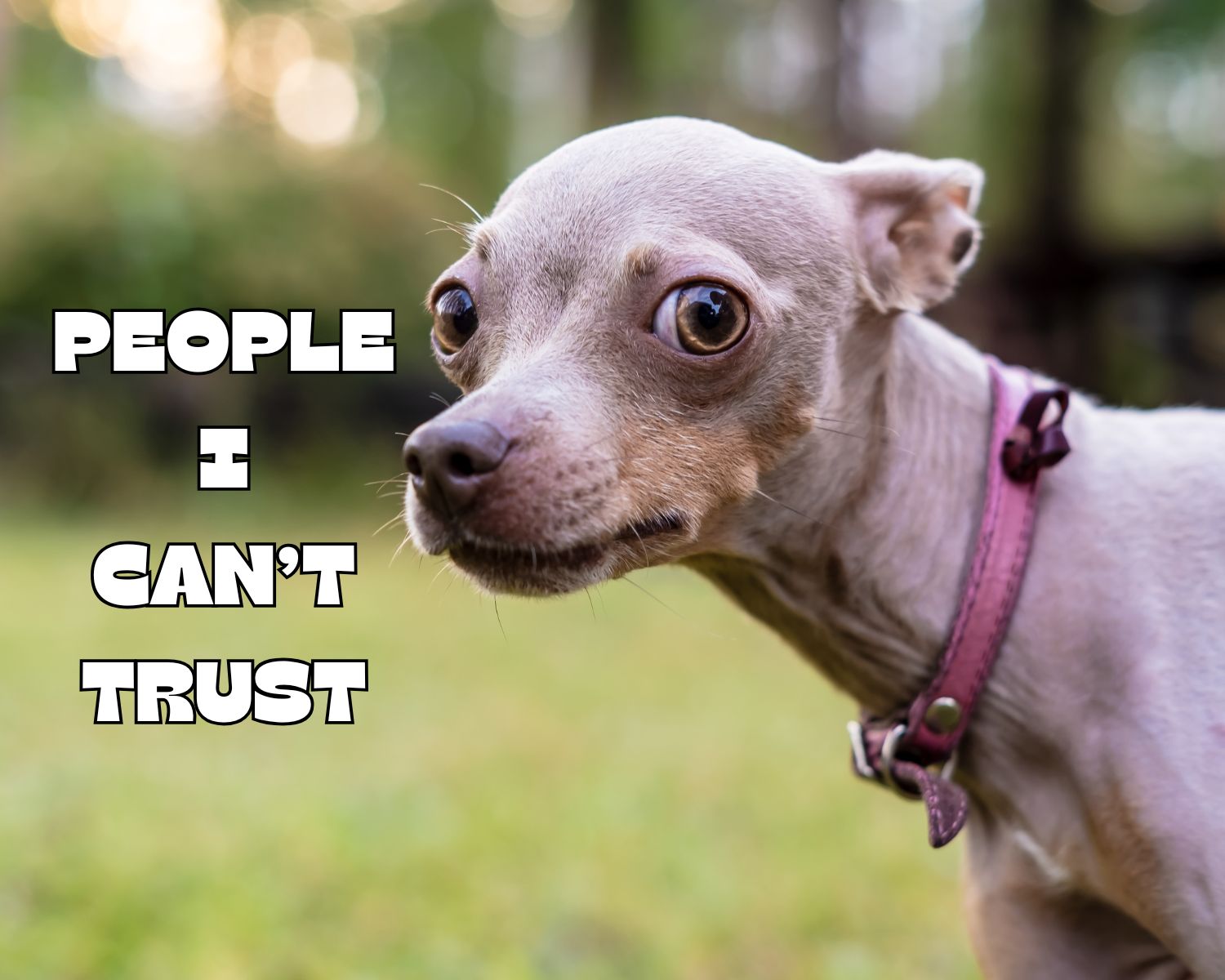 People I Can’t Trust